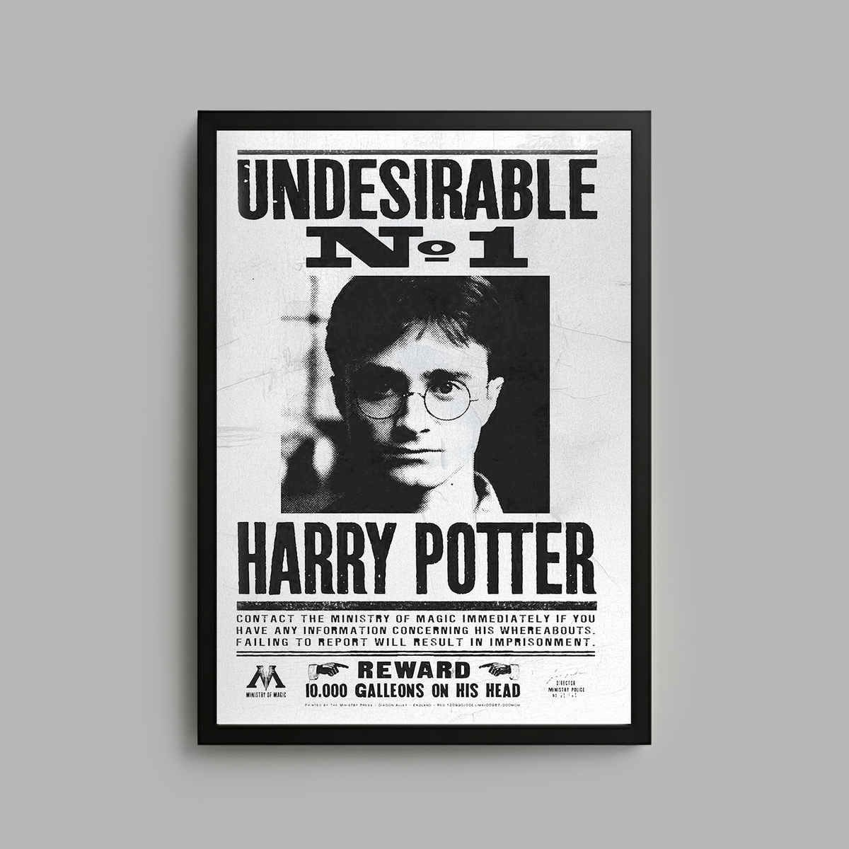 Harry Potter x Blvck Frame