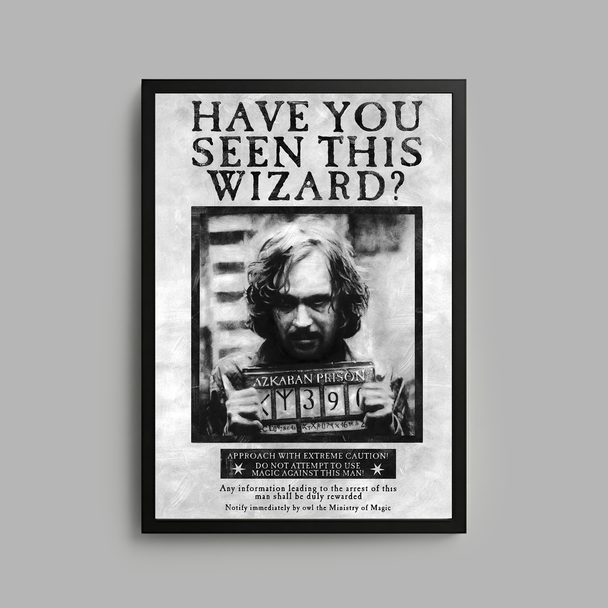 Harry Potter x Blvck Frame